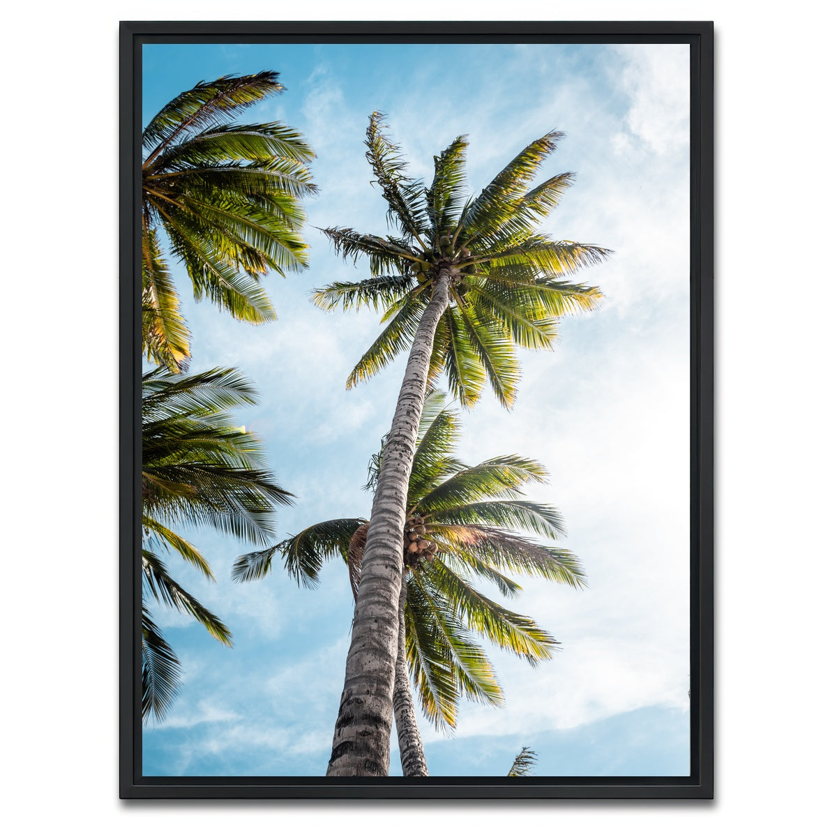 AUTO-MOCKUP WHITE | Sunny Palms | 1 Piece | Black Framed Canvas | group=3x4