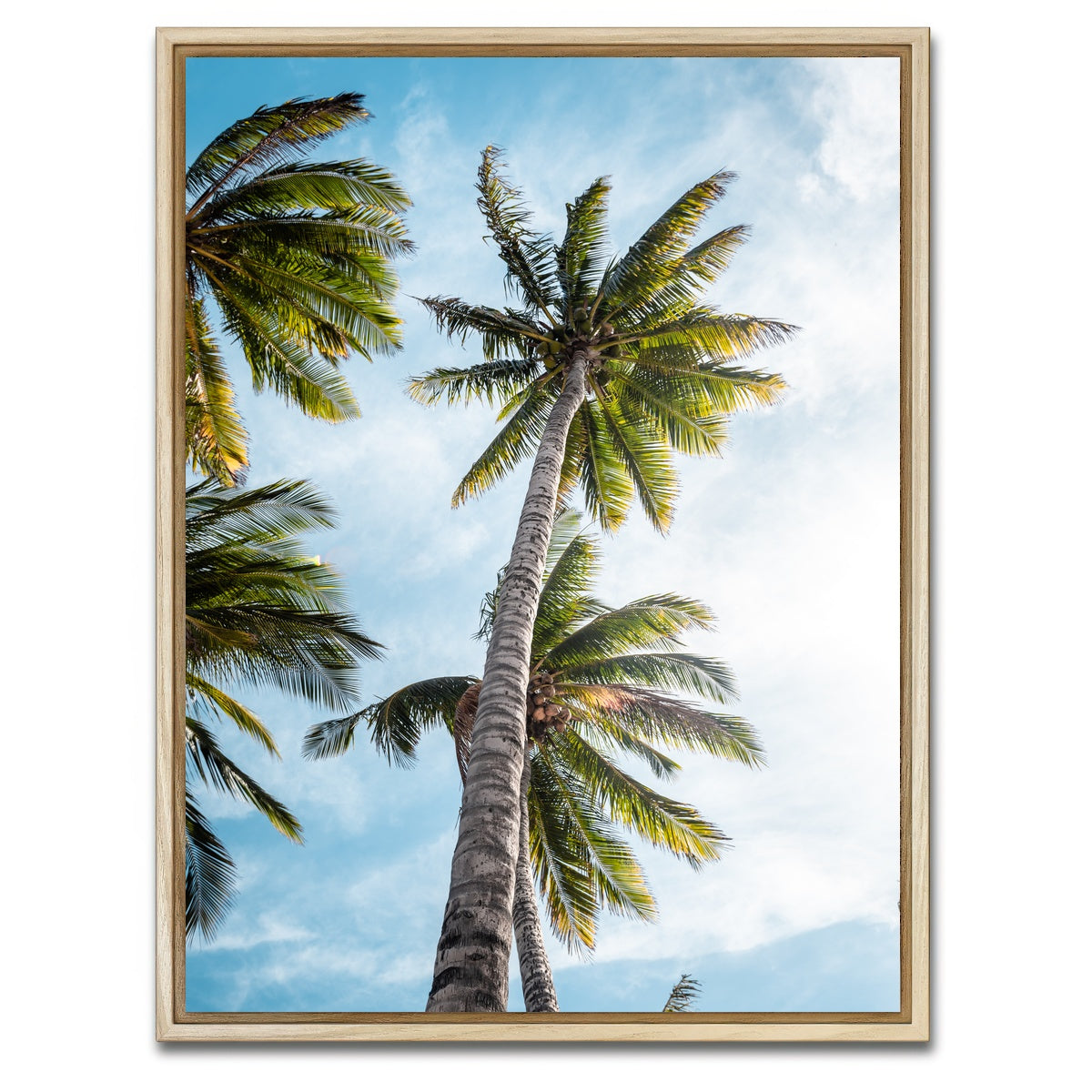 AUTO-MOCKUP WHITE | Sunny Palms | 1 Piece | Natural Framed Canvas | group=3x4