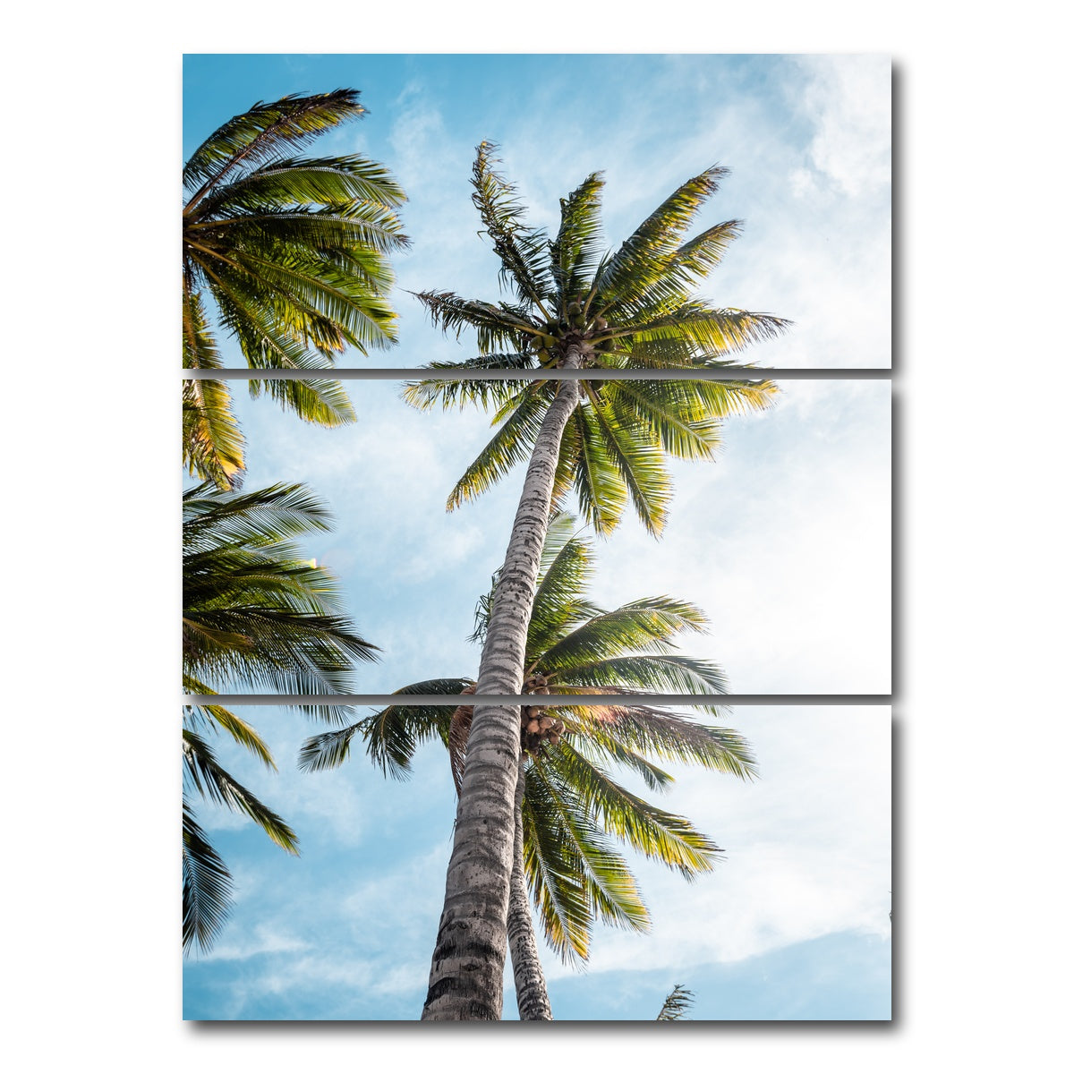 AUTO-MOCKUP WHITE | Sunny Palms | 3 Piece | Gallery Wrap Canvas | group=8x18_stacked