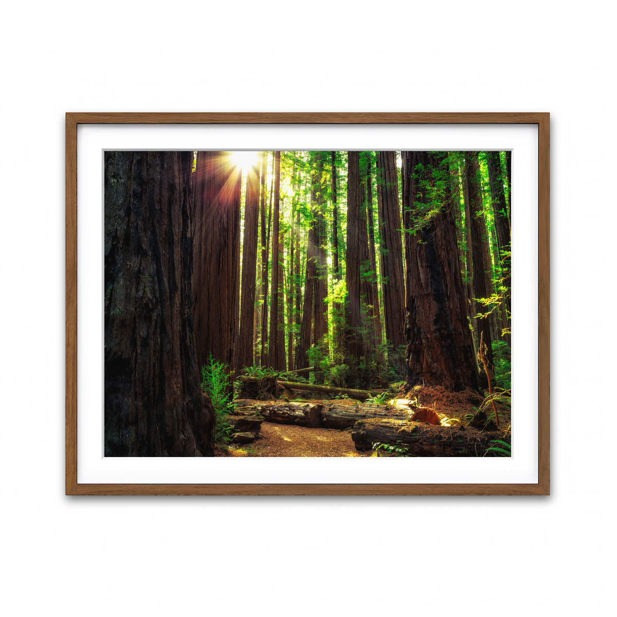 Framed Print 4x3 Walnut