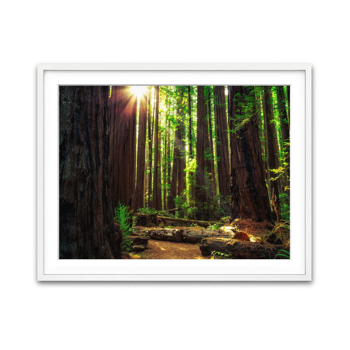 Framed Print 4x3 White