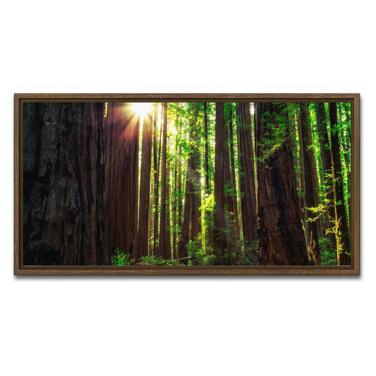 AUTO-MOCKUP WHITE | Sunrise in the Redwoods | 1 Piece | Walnut Framed Canvas | group=2x1