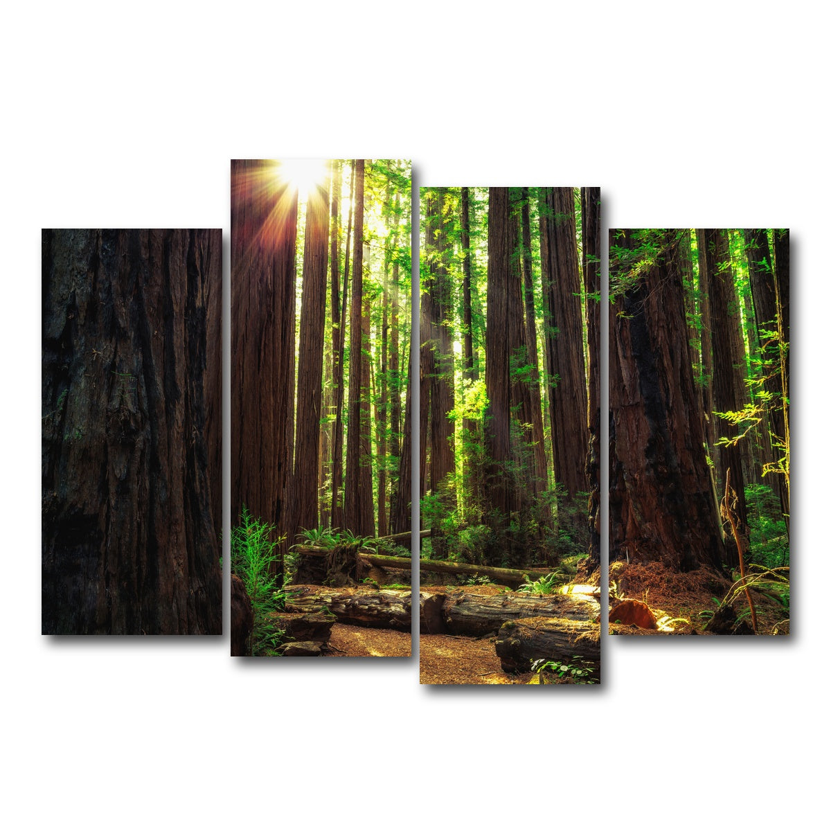 AUTO-MOCKUP WHITE | Sunrise in the Redwoods | 4 Piece | Gallery Wrap Canvas | group=4_normal