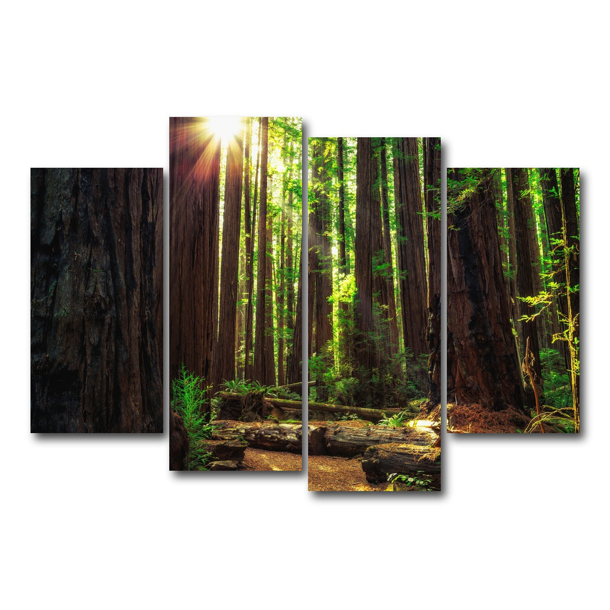 AUTO-MOCKUP WHITE | Sunrise in the Redwoods | 4 Piece | Gallery Wrap Canvas | group=4_short