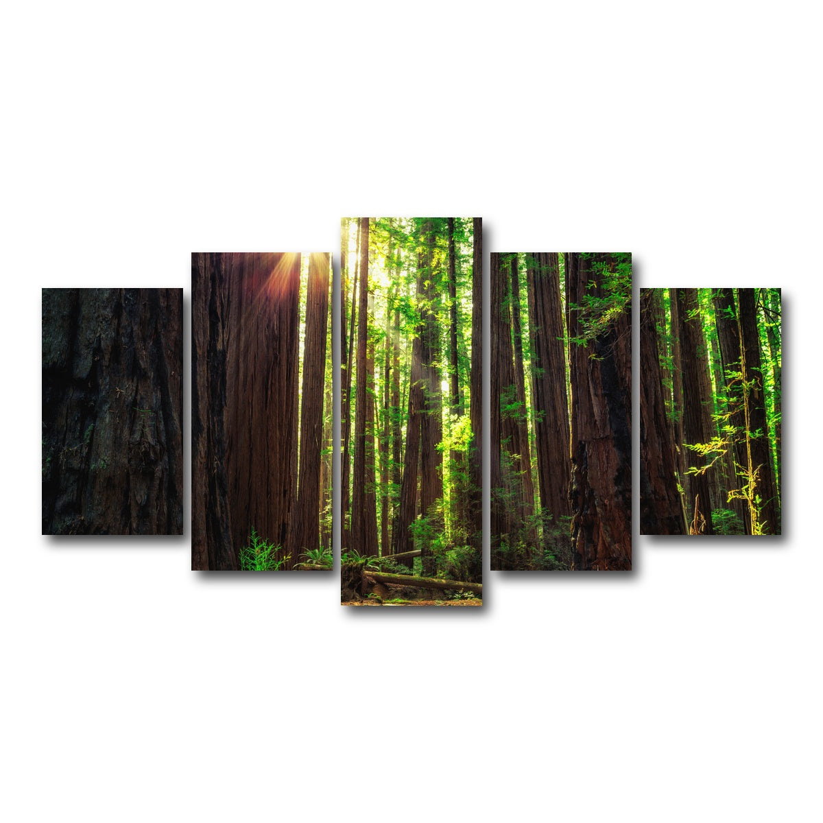 AUTO-MOCKUP WHITE | Sunrise in the Redwoods | 5 Piece | Gallery Wrap Canvas | group=5_normal