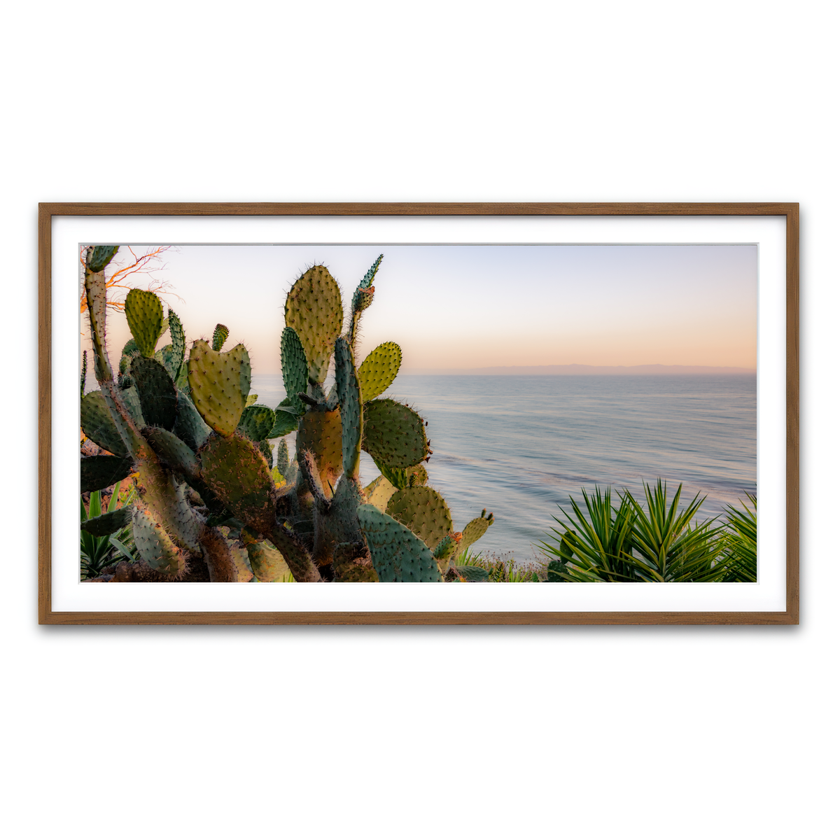 Framed Print 2x1 Walnut