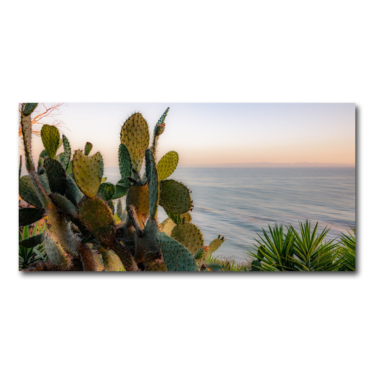 AUTO-MOCKUP WHITE | Sunset Cactus | 1 Piece | Gallery Wrap Canvas | group=2x1