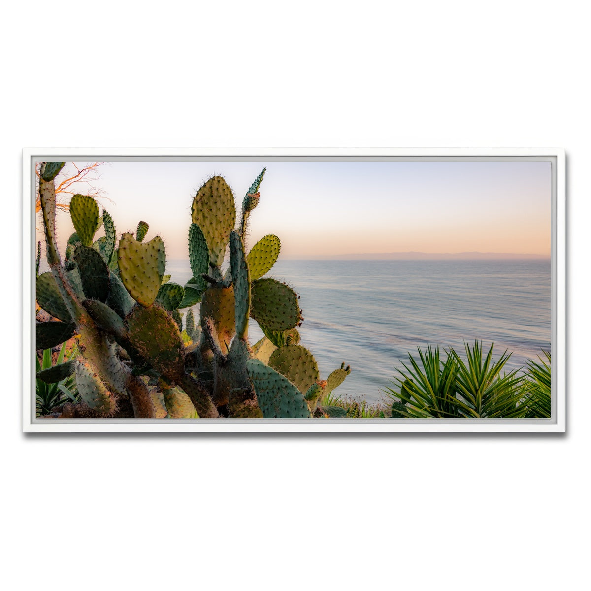 AUTO-MOCKUP WHITE | Sunset Cactus | 1 Piece | White Framed Canvas | group=2x1