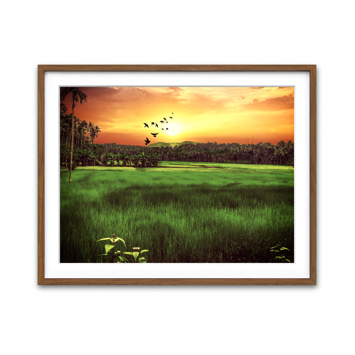 Framed Print 4x3 Walnut