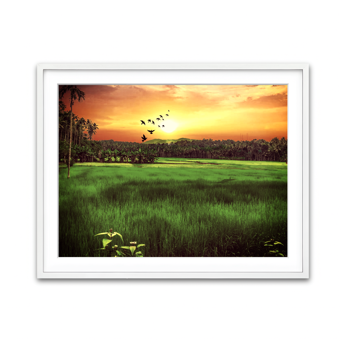 Framed Print 4x3 White