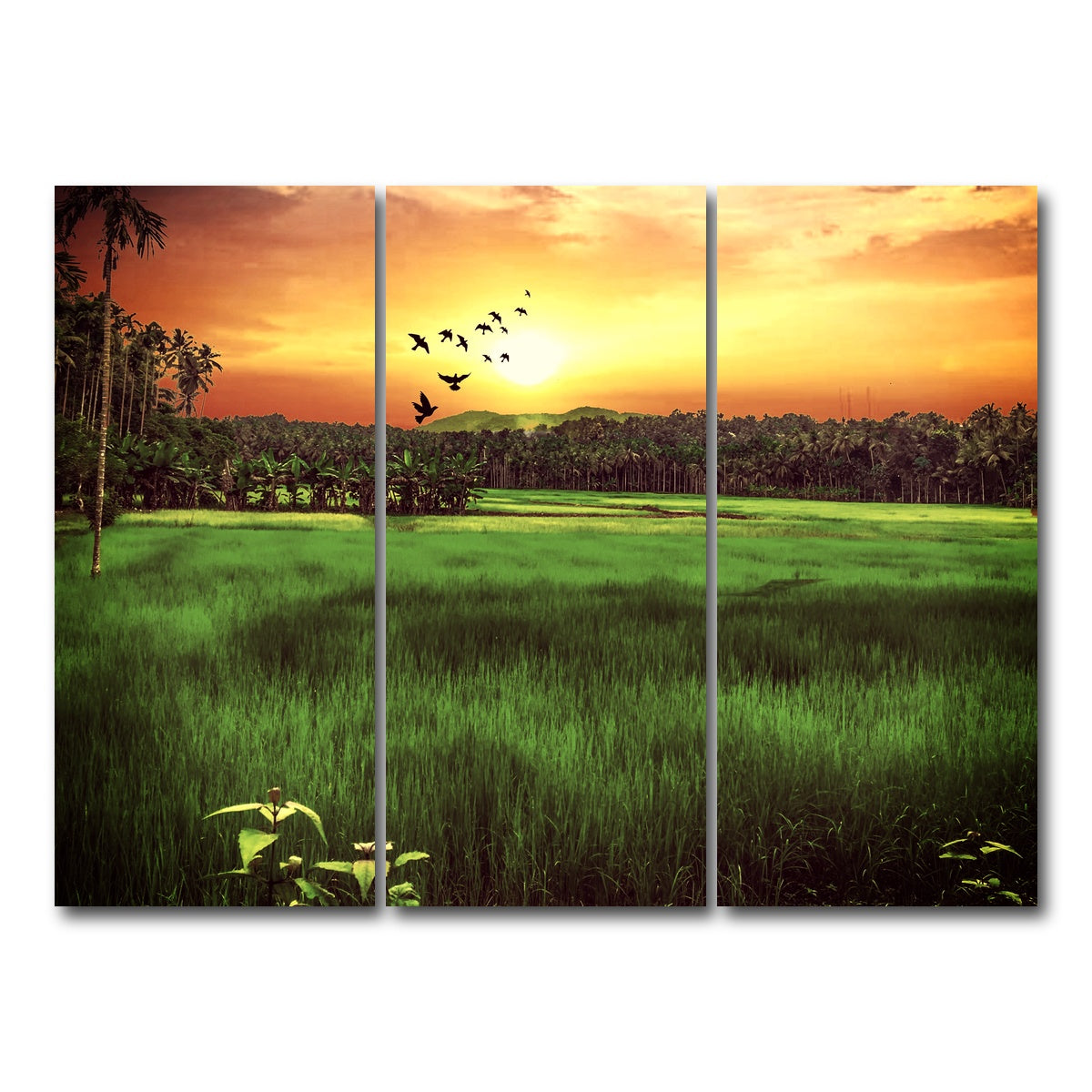 AUTO-MOCKUP WHITE | Sunset Landscape | 3 Piece | Gallery Wrap Canvas | group=8x18
