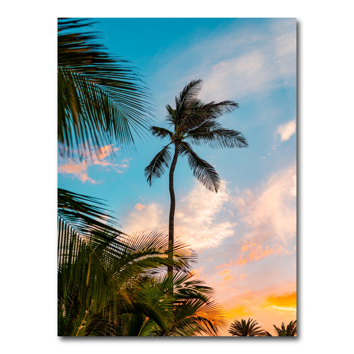 AUTO-MOCKUP WHITE | Sunset Palm | 1 Piece | Gallery Wrap Canvas | group=3x4