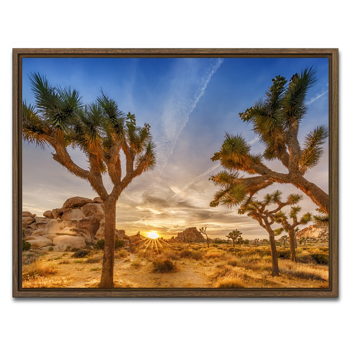 AUTO-MOCKUP WHITE | Sunset at Joshua Tree National Park | 1 Piece | Walnut Framed Canvas | group=4x3