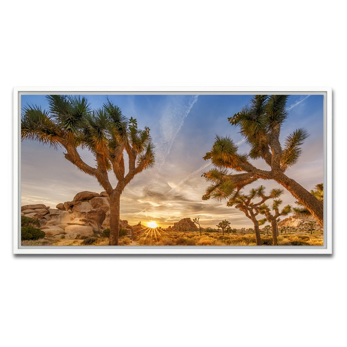 AUTO-MOCKUP WHITE | Sunset at Joshua Tree National Park | 1 Piece | White Framed Canvas | group=2x1