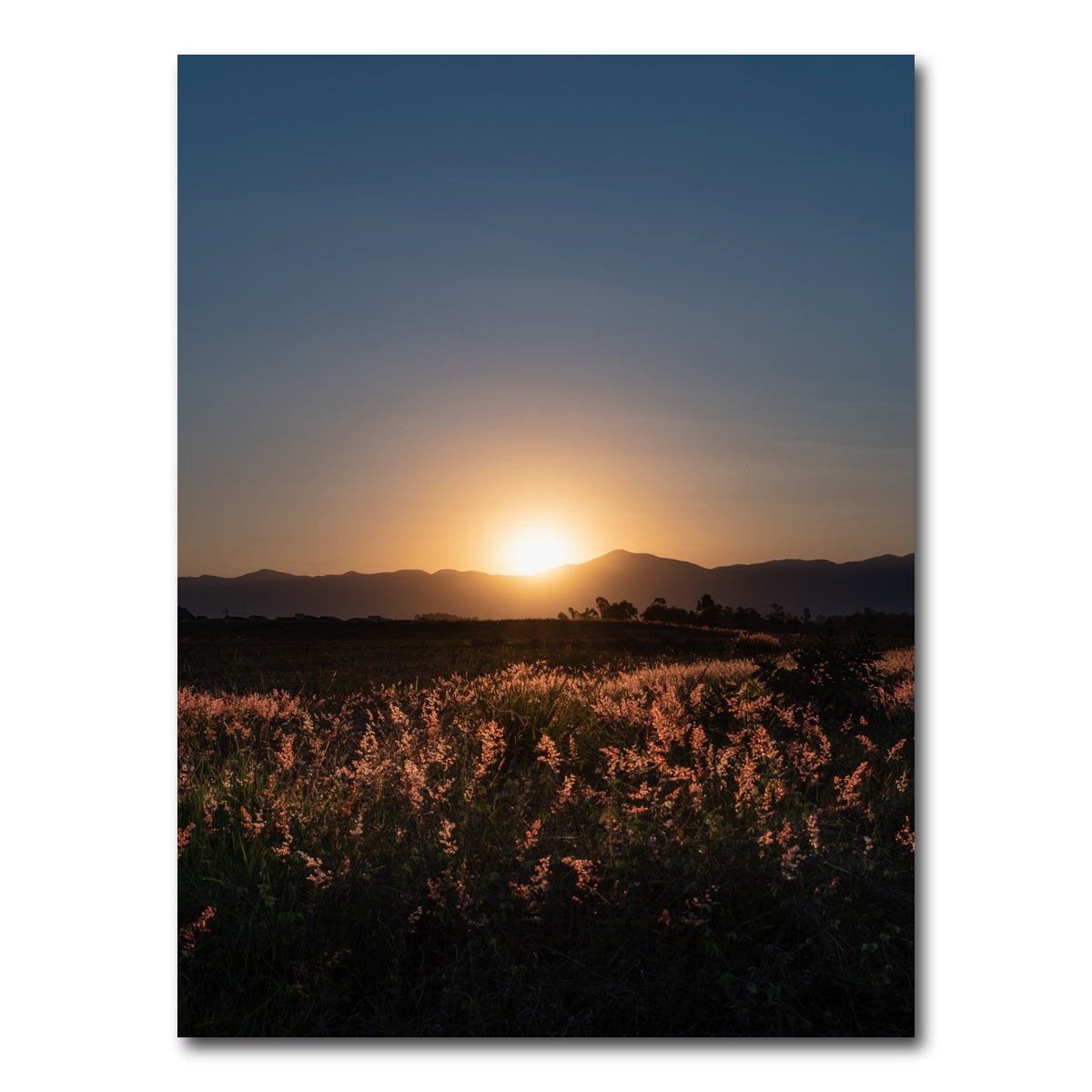 AUTO-MOCKUP WHITE | Sunset over a field of flowers | 1 Piece | Gallery Wrap Canvas | group=3x4