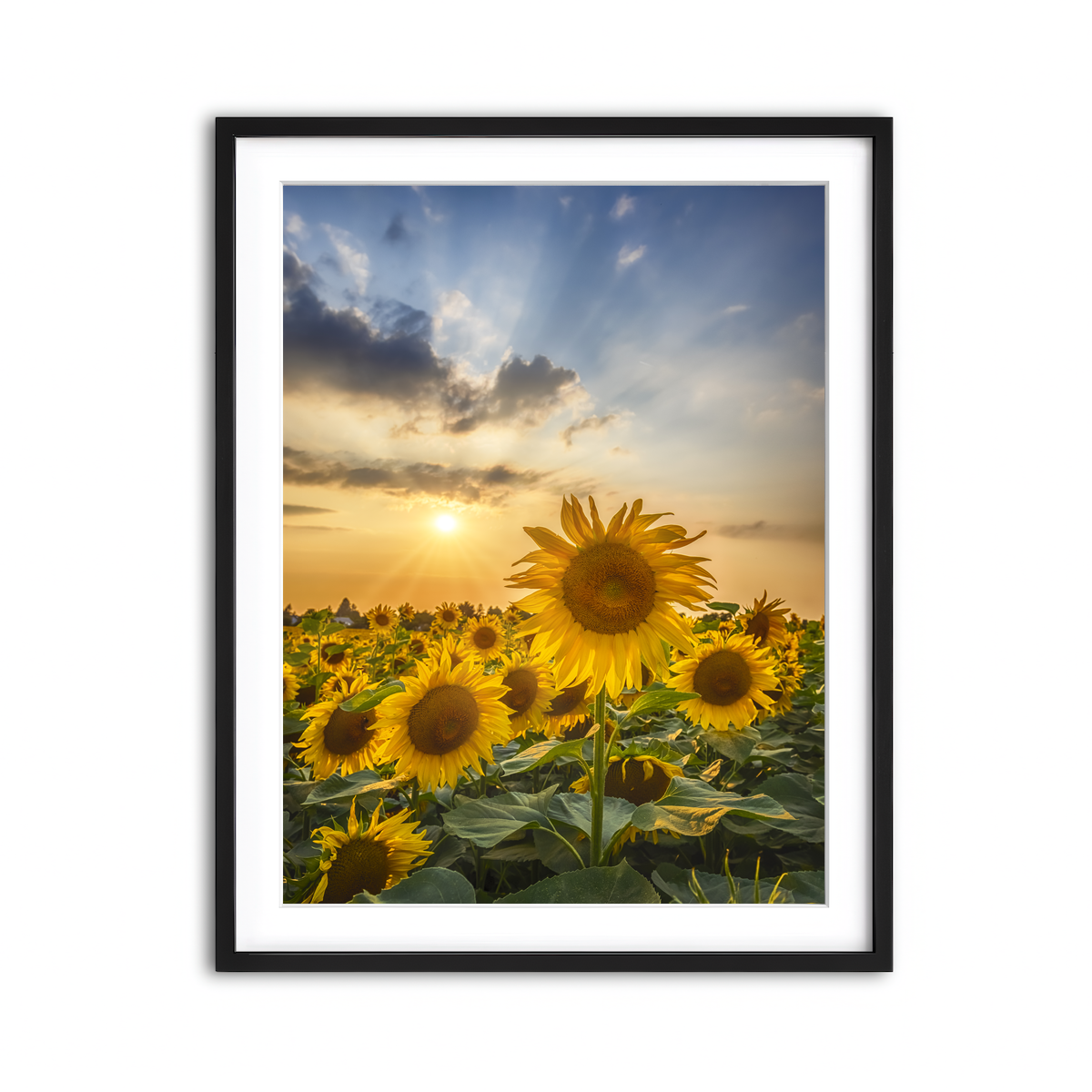 Framed Print 3x4 Black