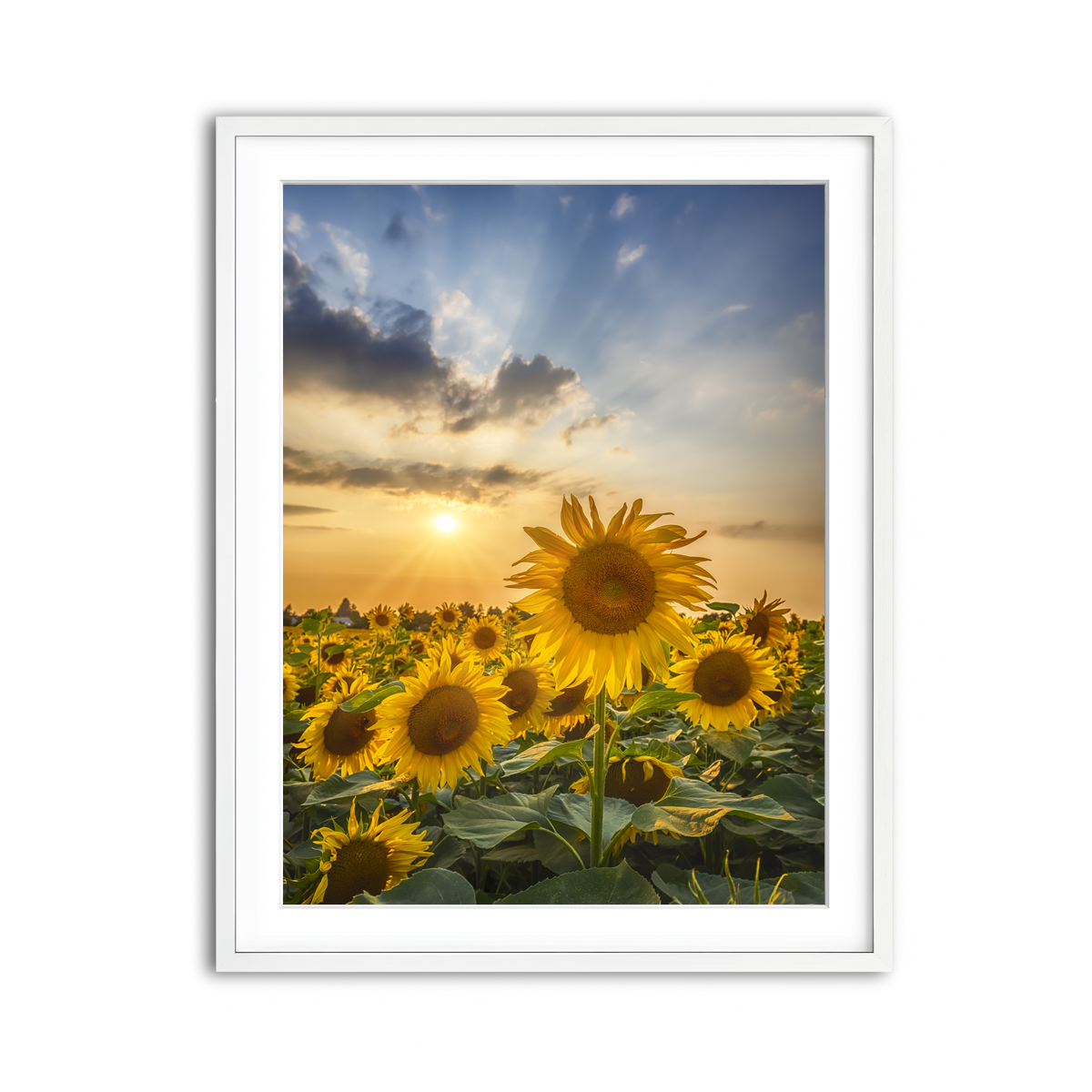 Framed Print 3x4 White