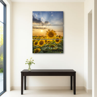 AUTO-MOCKUP ROOM | Sunset with beautiful sunflowers
