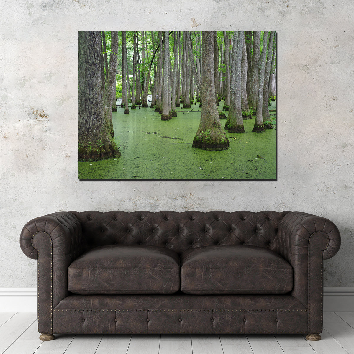 Swampland - Tallahassee Wall Art