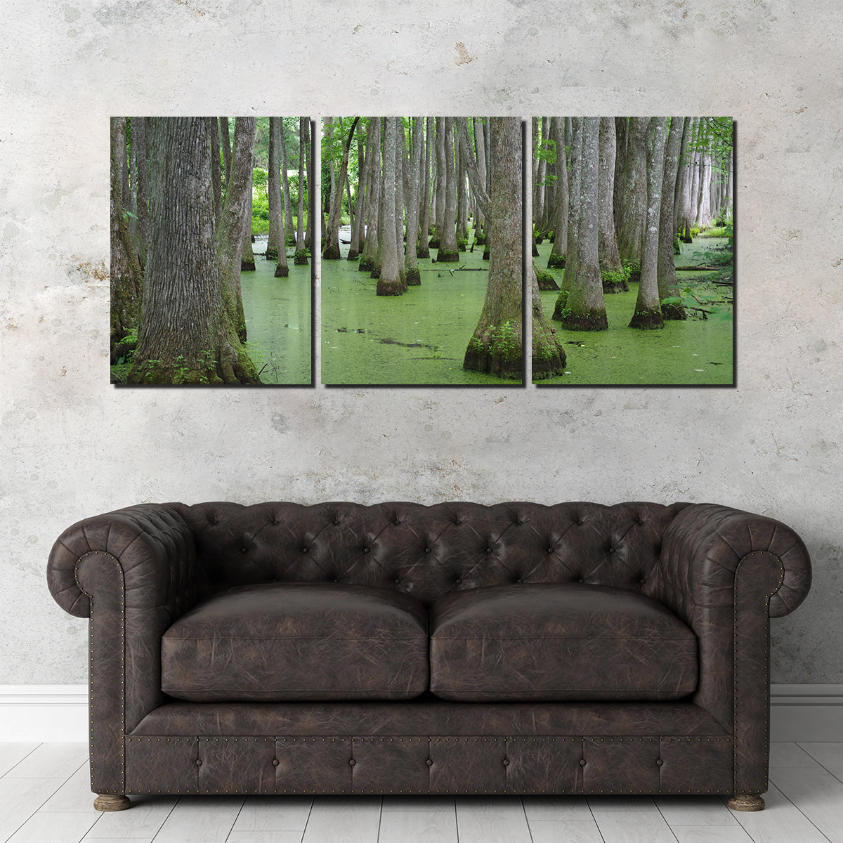 Swampland - Tallahassee Wall Art