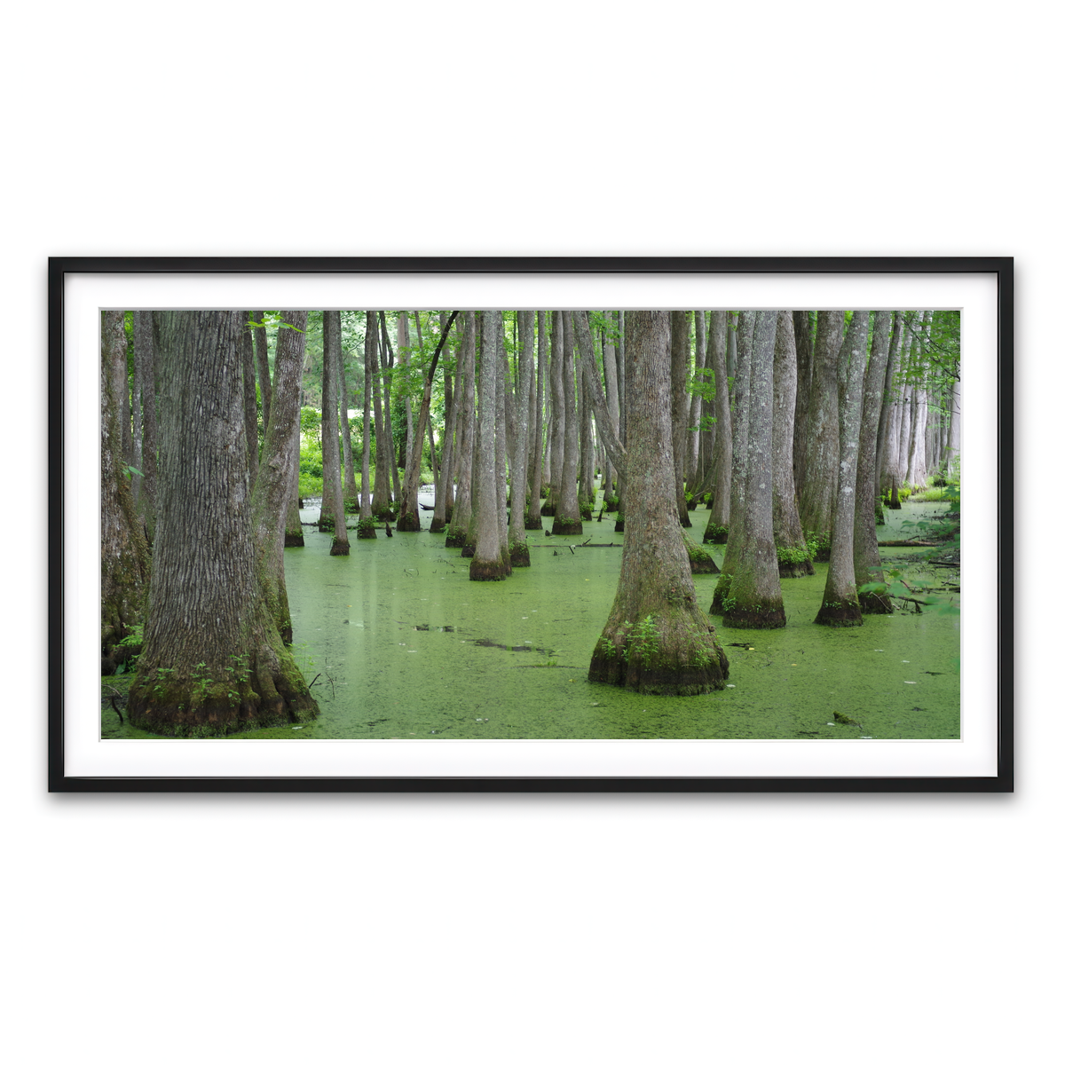 Framed Print 2x1 Black