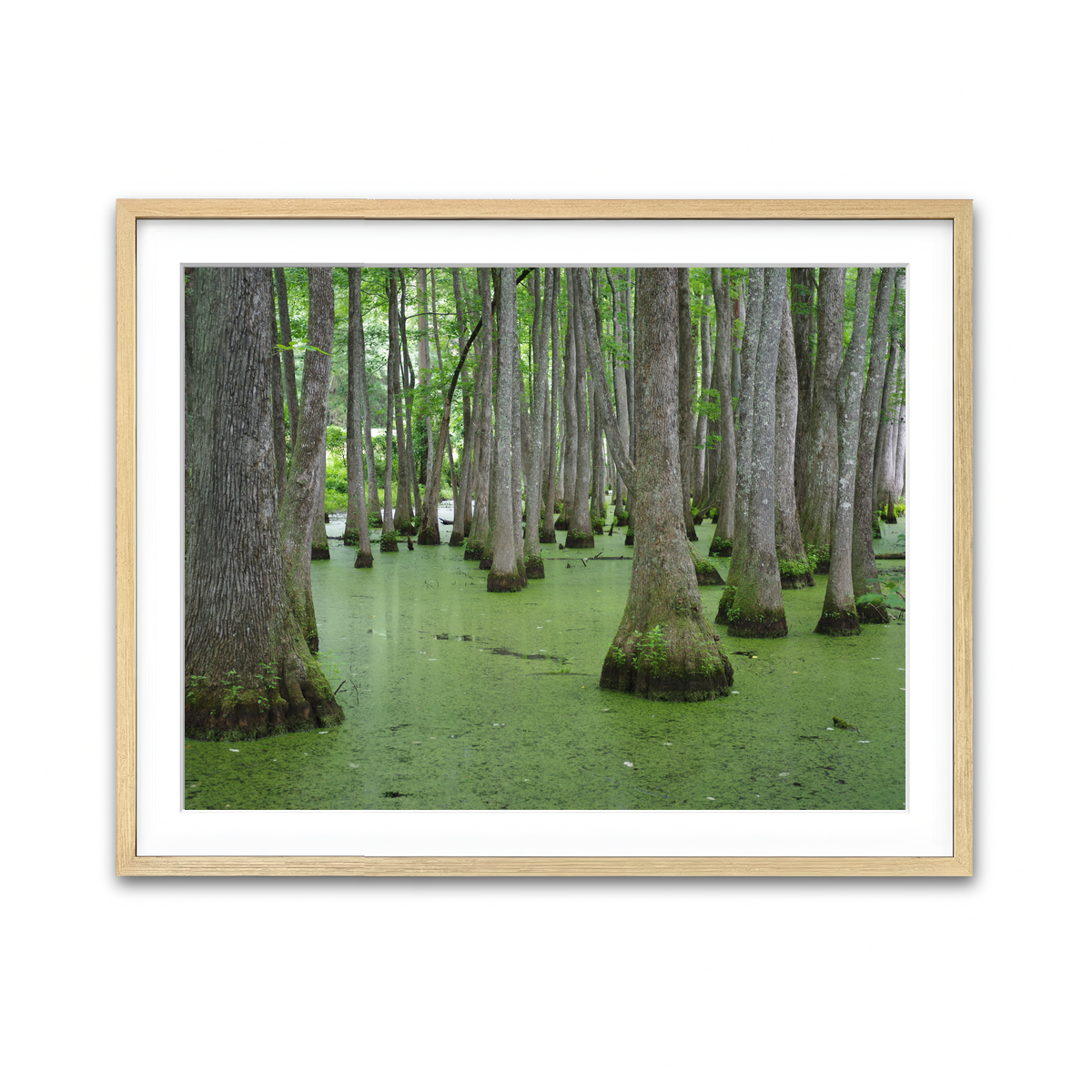 Framed Print 4x3 Natural