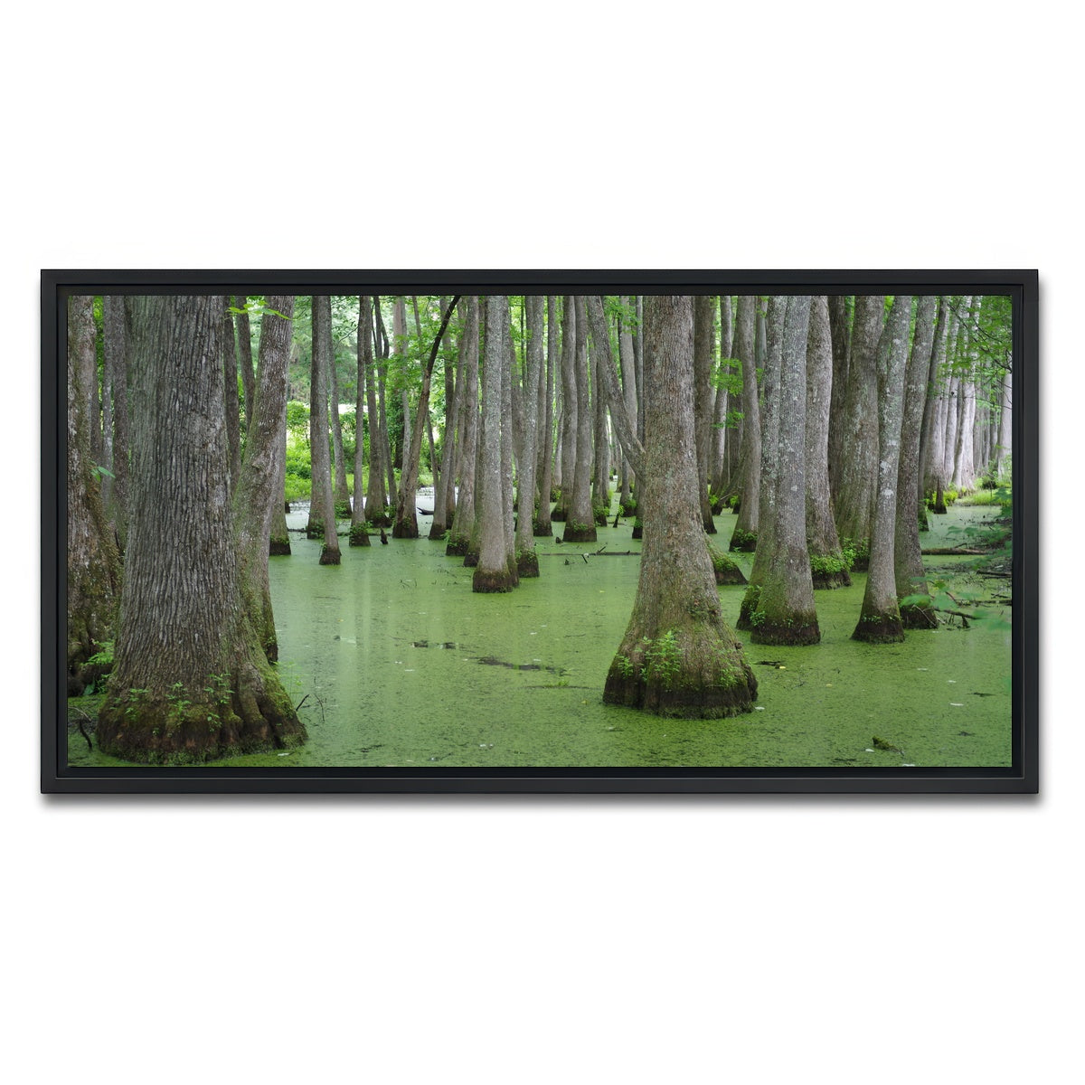 AUTO-MOCKUP WHITE | Swampland - Tallahassee | 1 Piece | Black Framed Canvas | group=2x1