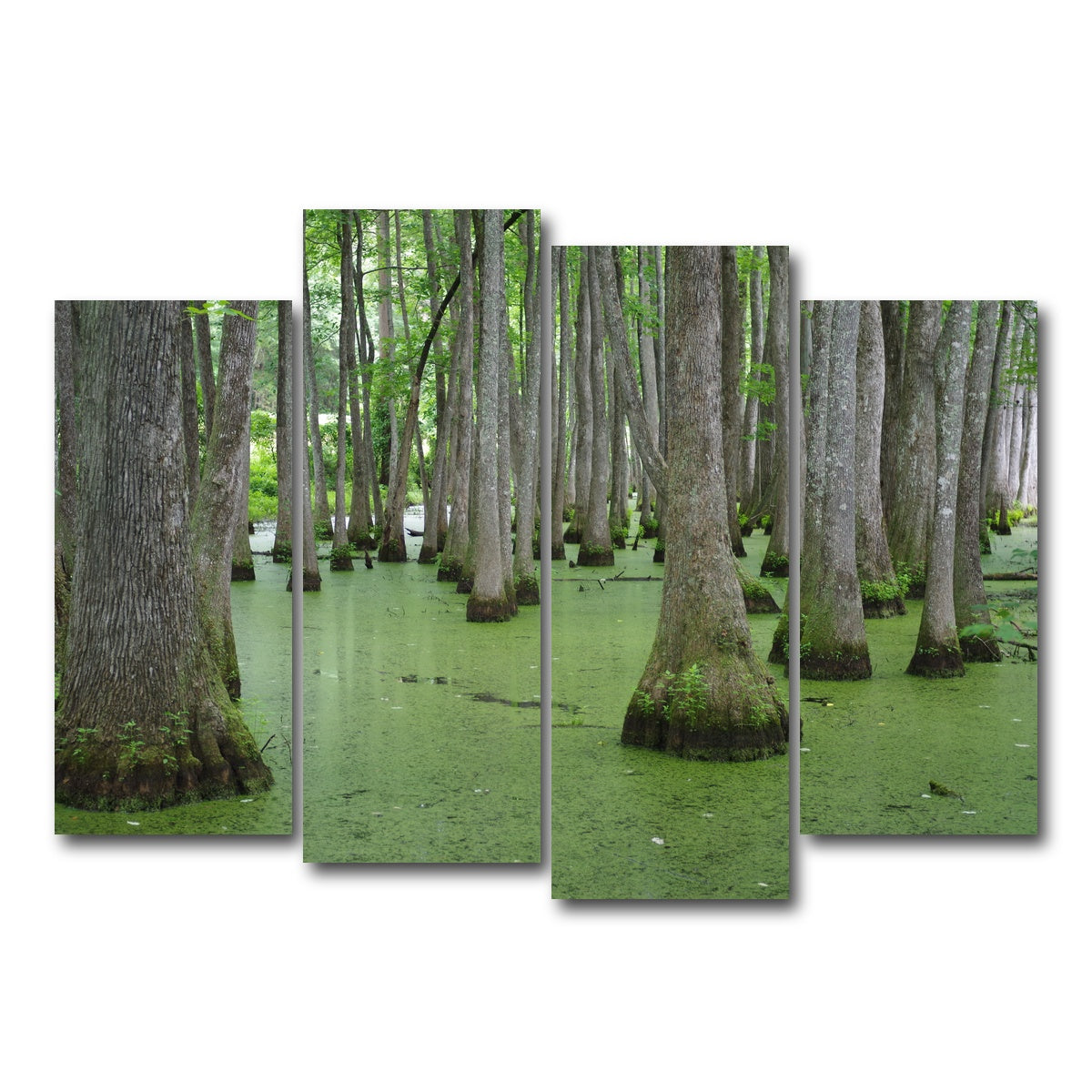 AUTO-MOCKUP WHITE | Swampland - Tallahassee | 4 Piece | Gallery Wrap Canvas | group=4_normal