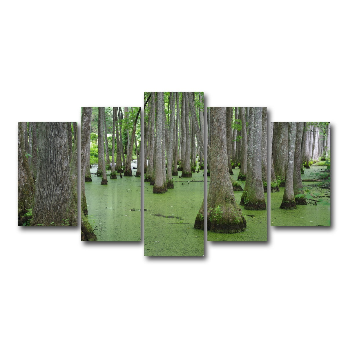 AUTO-MOCKUP WHITE | Swampland - Tallahassee | 5 Piece | Gallery Wrap Canvas | group=5_normal
