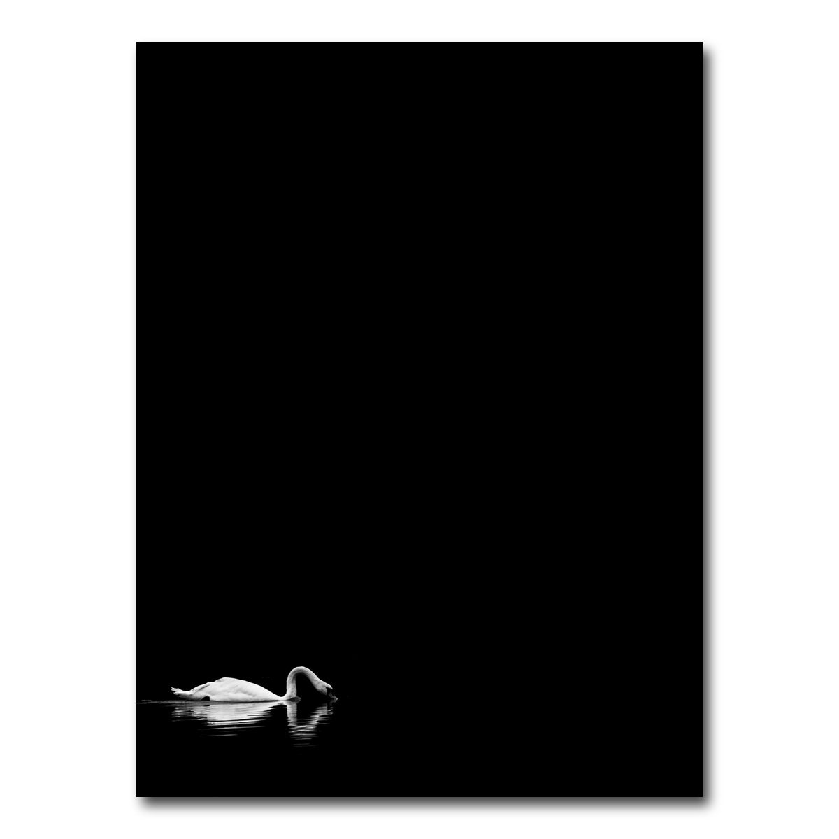 AUTO-MOCKUP WHITE | Swan Lake 2 | 1 Piece | Gallery Wrap Canvas | group=3x4