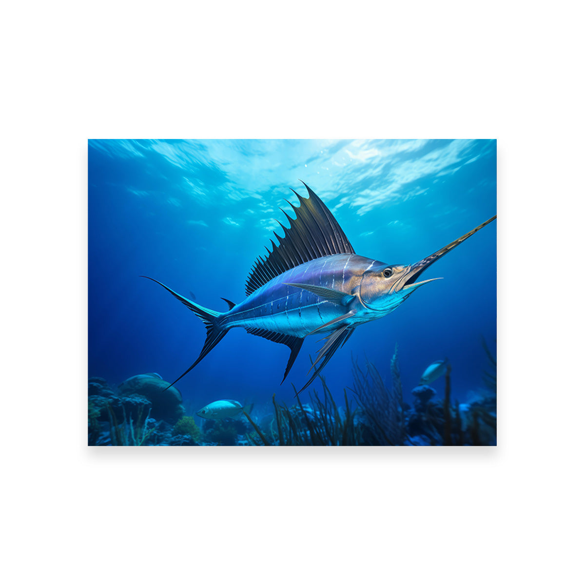 Swordfish Wall Art
