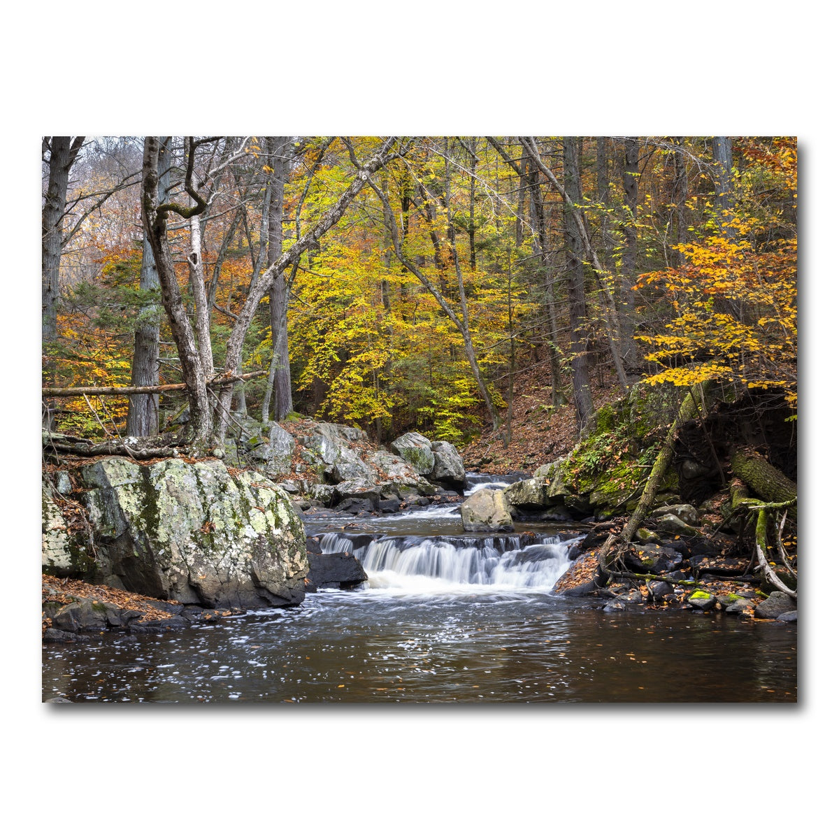 AUTO-MOCKUP WHITE | Take a Seat | 1 Piece | Gallery Wrap Canvas | group=4x3