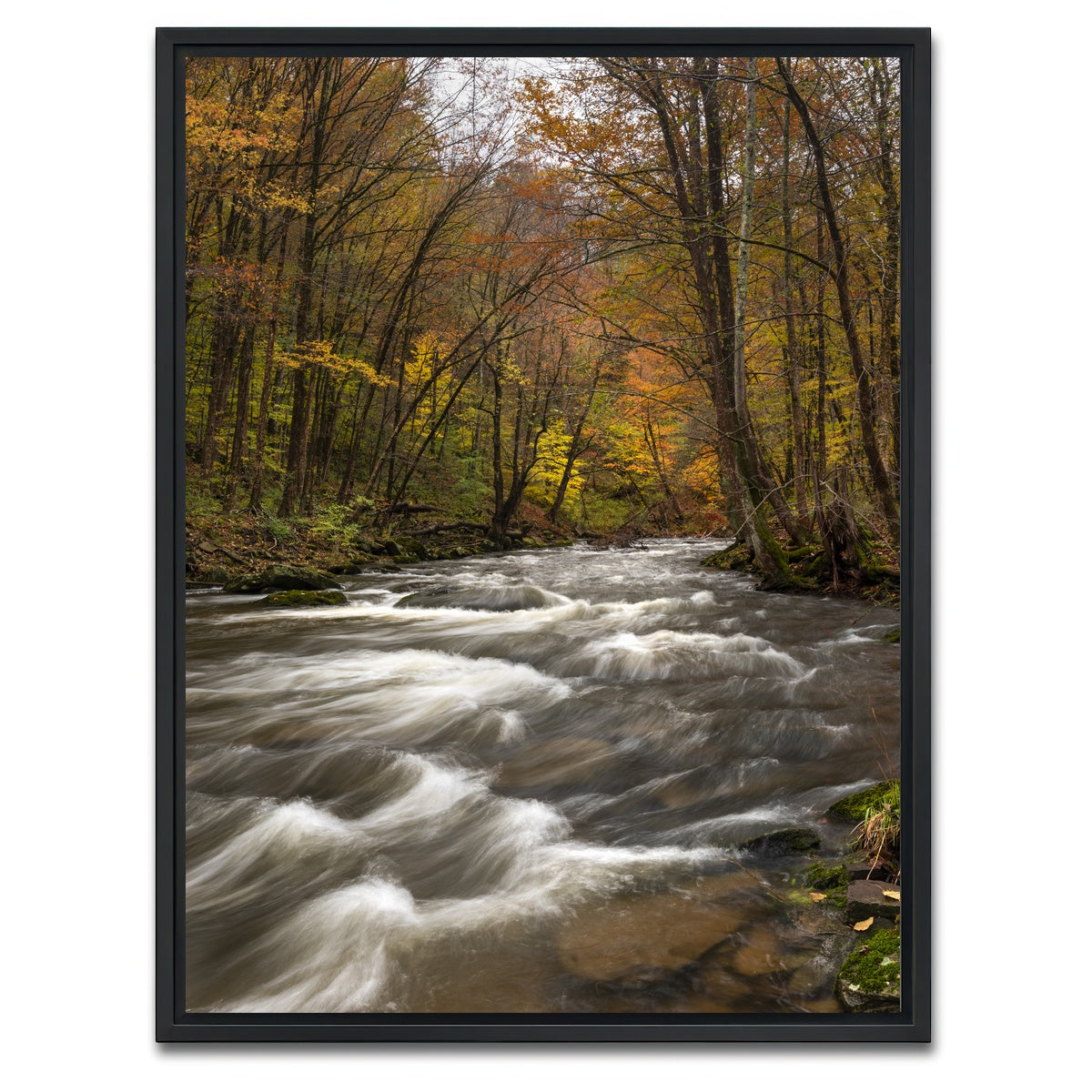 AUTO-MOCKUP WHITE | Tanner's River | 1 Piece | Black Framed Canvas | group=3x4