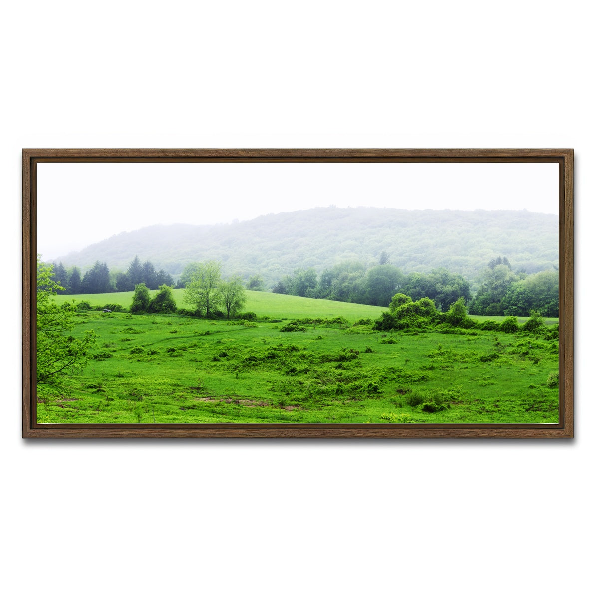 AUTO-MOCKUP WHITE | Tarrywile Park | 1 Piece | Walnut Framed Canvas | group=2x1