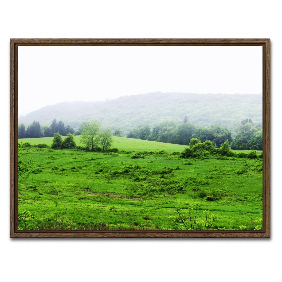 AUTO-MOCKUP WHITE | Tarrywile Park | 1 Piece | Walnut Framed Canvas | group=4x3