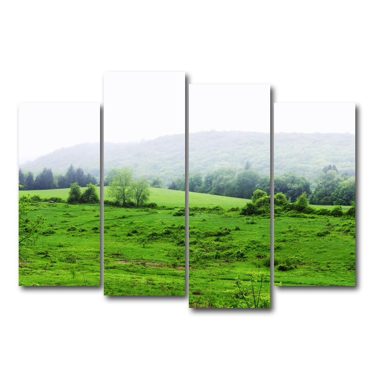 AUTO-MOCKUP WHITE | Tarrywile Park | 4 Piece | Gallery Wrap Canvas | group=4_normal