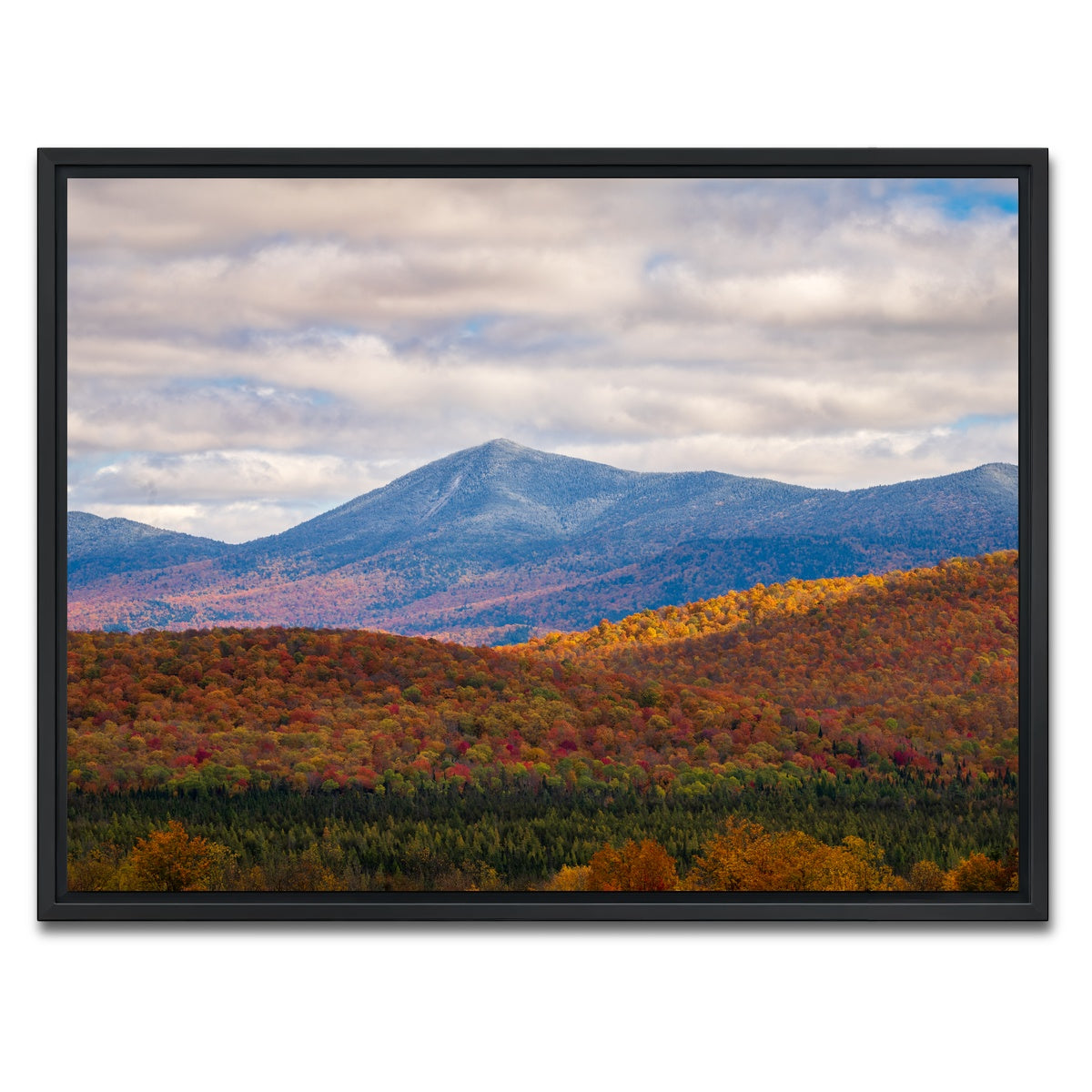 AUTO-MOCKUP WHITE | Tease of Winter | 1 Piece | Black Framed Canvas | group=4x3