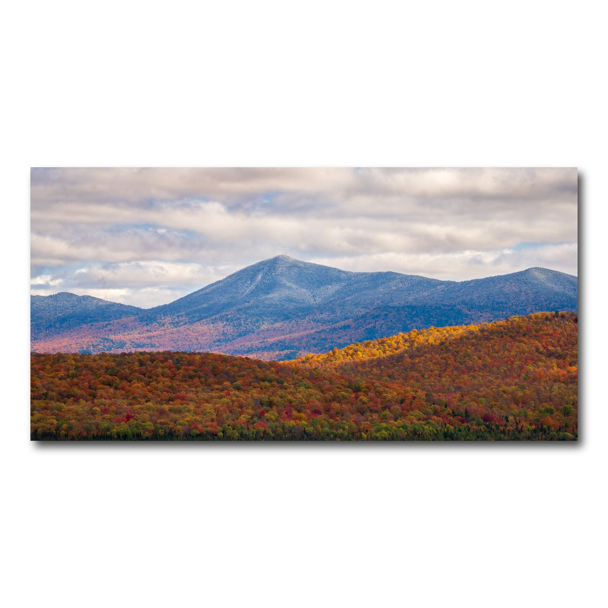 AUTO-MOCKUP WHITE | Tease of Winter | 1 Piece | Gallery Wrap Canvas | group=2x1