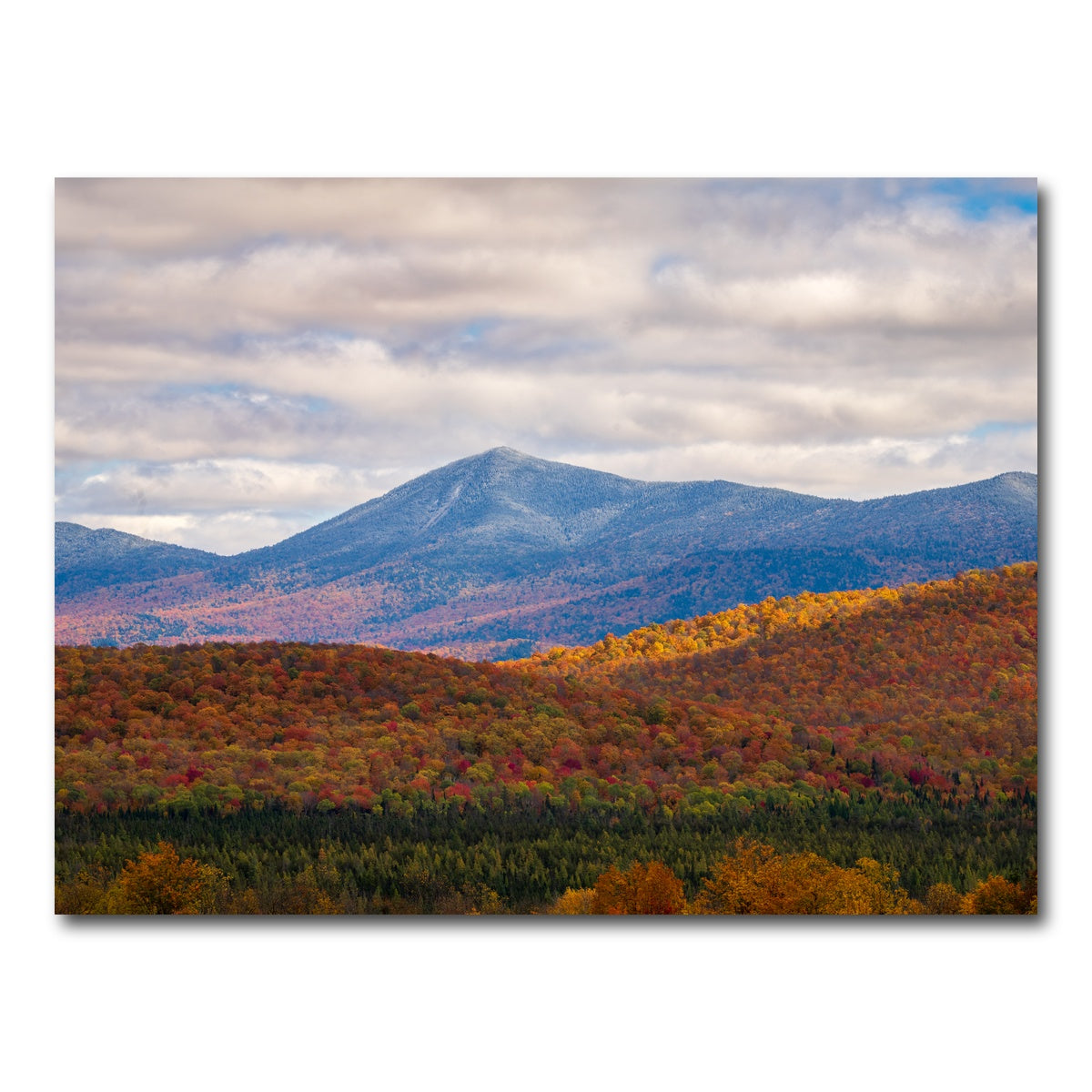 AUTO-MOCKUP WHITE | Tease of Winter | 1 Piece | Gallery Wrap Canvas | group=4x3