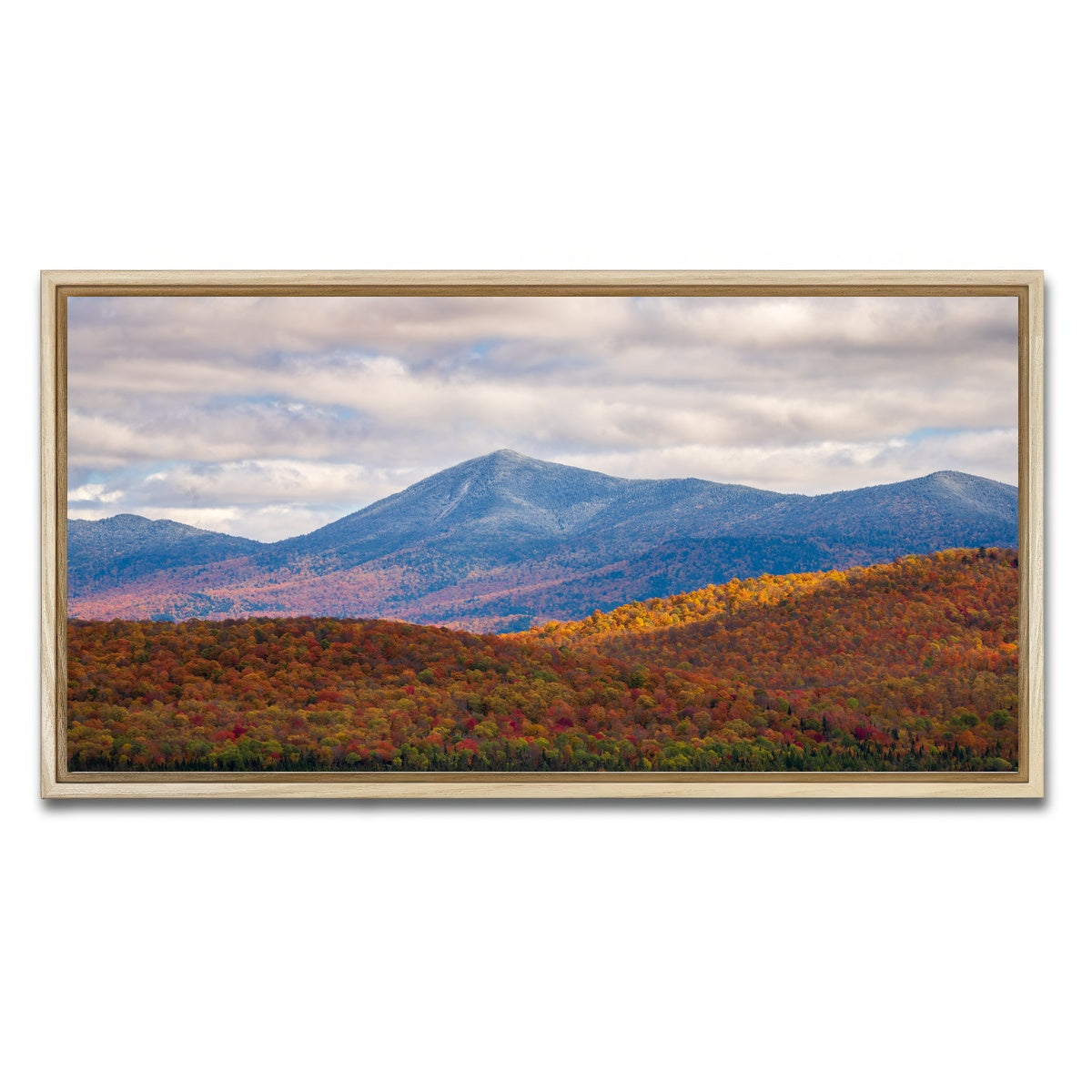 AUTO-MOCKUP WHITE | Tease of Winter | 1 Piece | Natural Framed Canvas | group=2x1