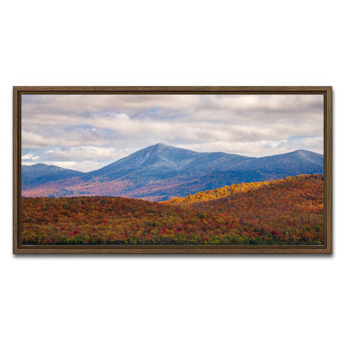 AUTO-MOCKUP WHITE | Tease of Winter | 1 Piece | Walnut Framed Canvas | group=2x1