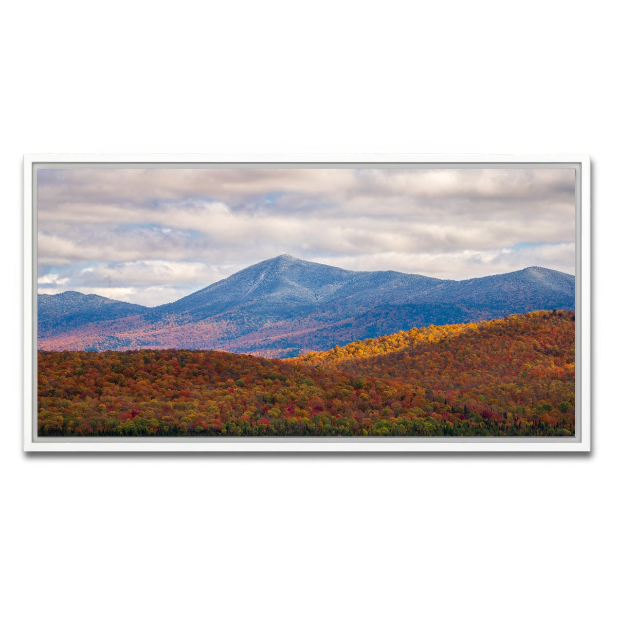 AUTO-MOCKUP WHITE | Tease of Winter | 1 Piece | White Framed Canvas | group=2x1