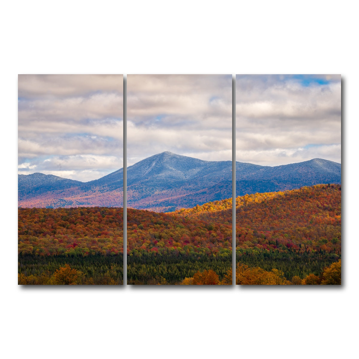 AUTO-MOCKUP WHITE | Tease of Winter | 3 Piece | Gallery Wrap Canvas | group=12x24