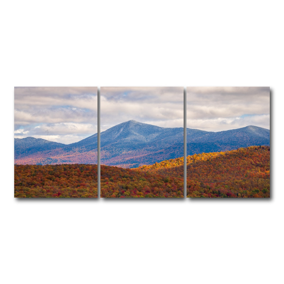 AUTO-MOCKUP WHITE | Tease of Winter | 3 Piece | Gallery Wrap Canvas | group=18x24