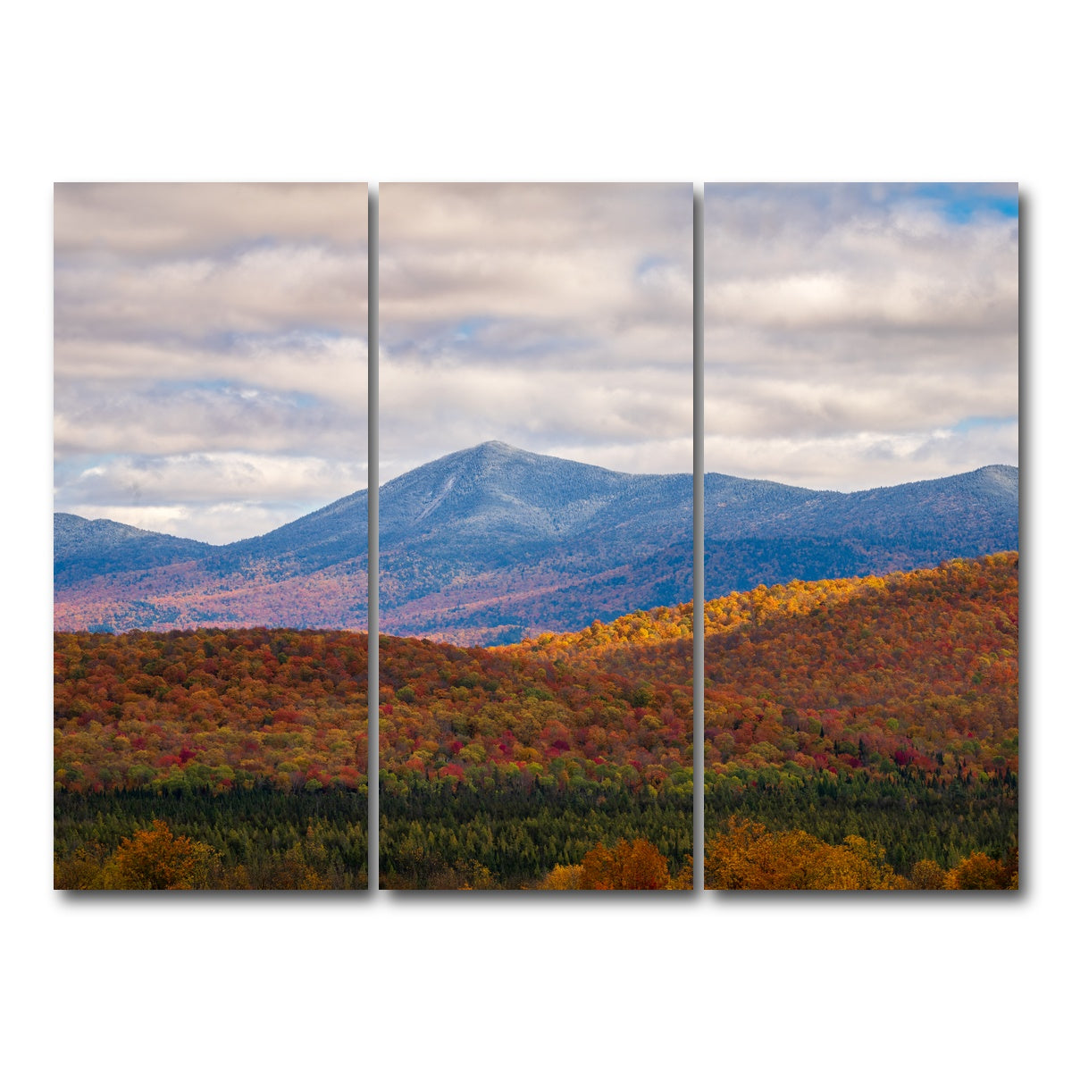 AUTO-MOCKUP WHITE | Tease of Winter | 3 Piece | Gallery Wrap Canvas | group=8x18