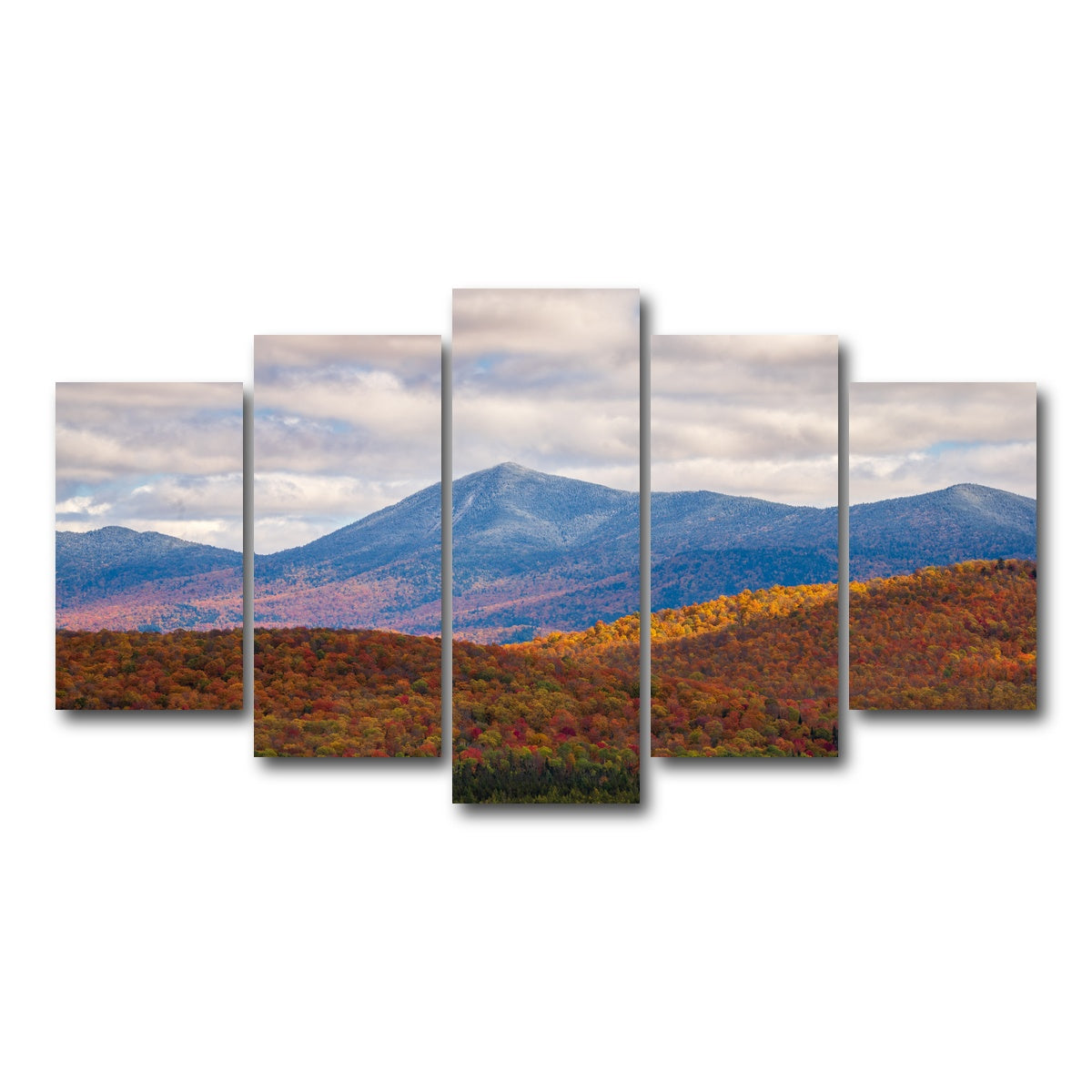AUTO-MOCKUP WHITE | Tease of Winter | 5 Piece | Gallery Wrap Canvas | group=5_normal