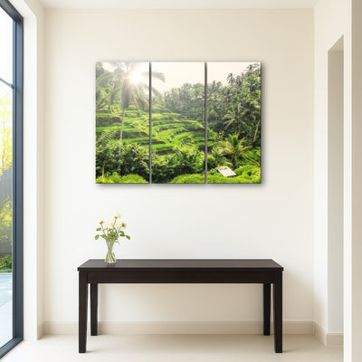 AUTO-MOCKUP ROOM | Tegallalang