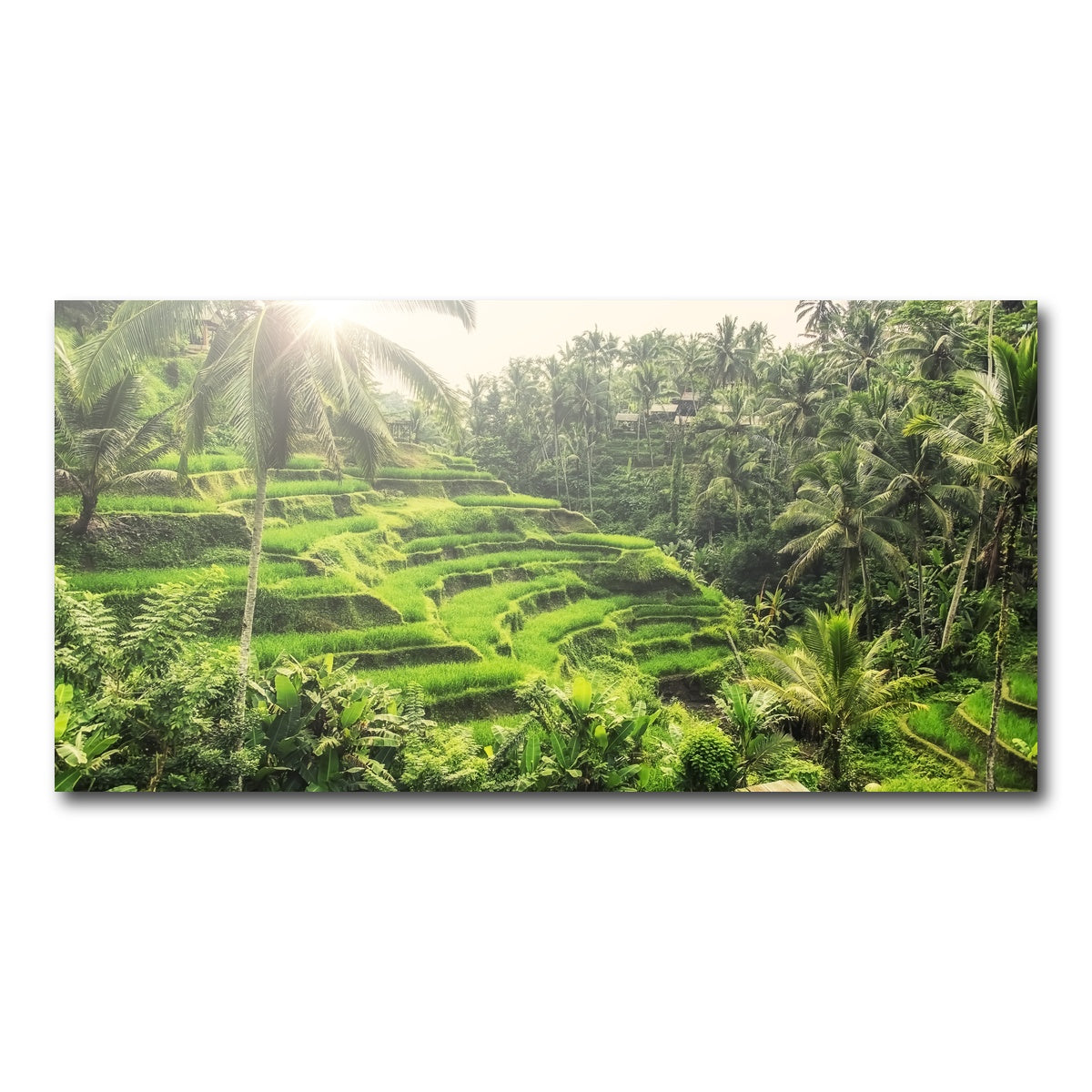 AUTO-MOCKUP WHITE | Tegallalang | 1 Piece | Gallery Wrap Canvas | group=2x1