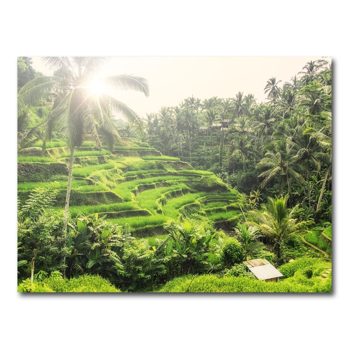 AUTO-MOCKUP WHITE | Tegallalang | 1 Piece | Gallery Wrap Canvas | group=4x3