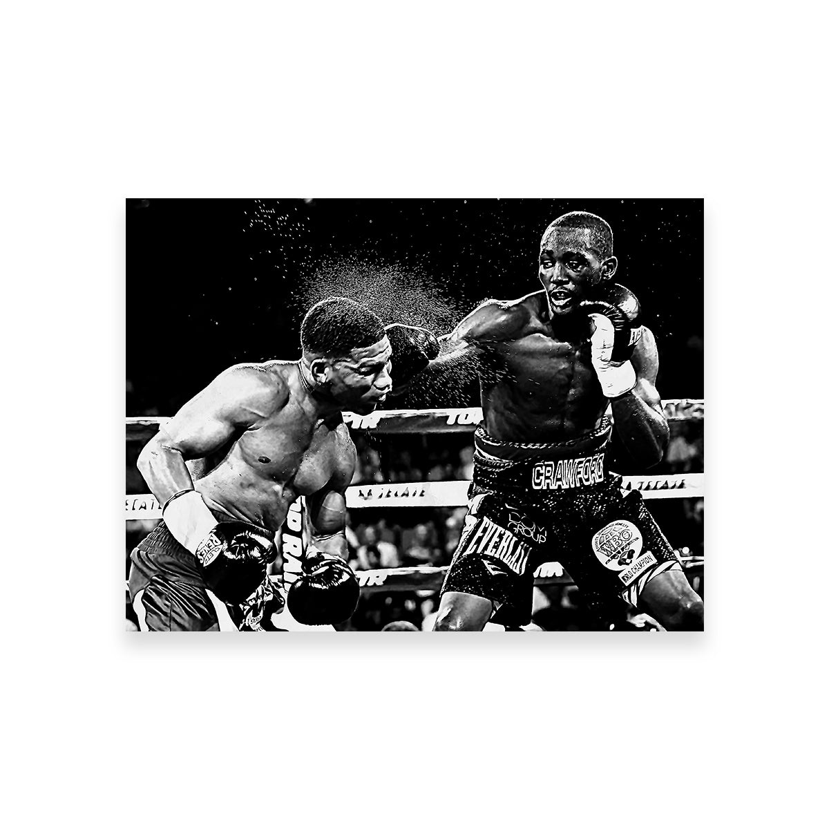 Terence Crawford Grayscale Wall Art